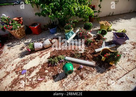 Ramallah, Palestina. 21st giugno, 2023. Una vista delle proprietà palestinesi danneggiate distrutte dai coloni ebrei nella città di Turmusaya, vicino alla città di Ramallah, nella parte settentrionale della Cisgiordania. Circa 400 coloni ebrei hanno lanciato un attacco alla città palestinese di Turmusaya e bruciato case, automobili e proprietà. (Foto di Nasser Ishtayeh/SOPA Images/Sipa USA) Credit: Sipa USA/Alamy Live News Foto Stock