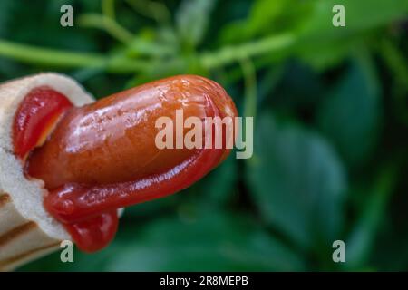 Un classico hot dog per strada, il tradizionale hot dog di pollo lucidato. Ketchup di pomodoro e salsiccia con sfondo verde sfocato natura Foto Stock