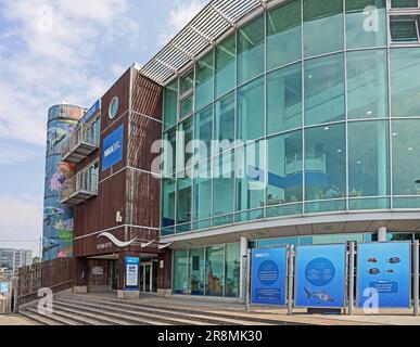 National Marine Aquarium in Plymouth Barbican, centro internazionale di ricerca e leader di attrazione vissitor  Plymouth Sutton Harbour Foto Stock