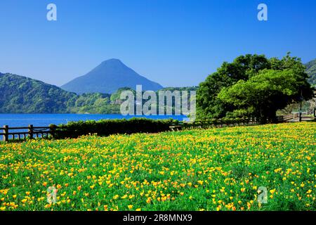 Lago Ikeda e Monte Kaimondake Foto Stock