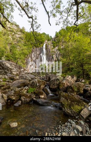 Cascate di Aber Falls, Coedydd Aber National Nature Reserve, Abergwyngregyn, Llanfairfechan, Gran Bretagna, verde, estate, alberi Foto Stock
