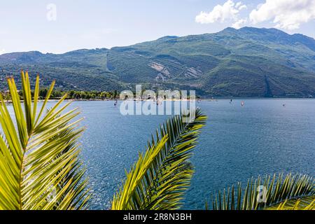 Windsurf a Torbole sul Lago di Garda, Nago-Torbole, Trentino-alto Adige, Italia Foto Stock