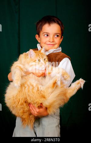 Il ragazzo porta il gatto Angora Turco, il gatto Angora Turco Foto Stock