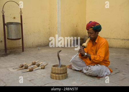 Incantatore di serpenti, Jaipur, Rajasthan, India Foto Stock