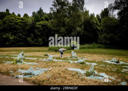 DRONTEN - tombe distrutte nel Koningin Wilhelminabos. Una campagna di raccolta fondi è stata avviata per raccogliere fondi per ripristinare il monumento in gran parte distrutto a persone che sono morte di cancro a Dronten.ANP ROBIN VAN LONKHUIJSEN olanda out - belgio out Foto Stock