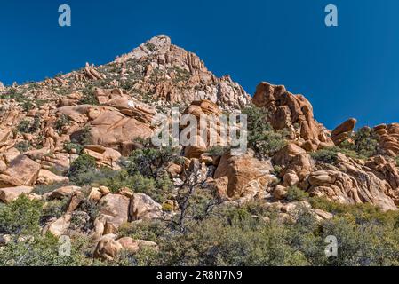 Formazioni rocciose di granito in Caruthers Canyon, New York Mountains, Mojave National Preserve, California, USA Foto Stock