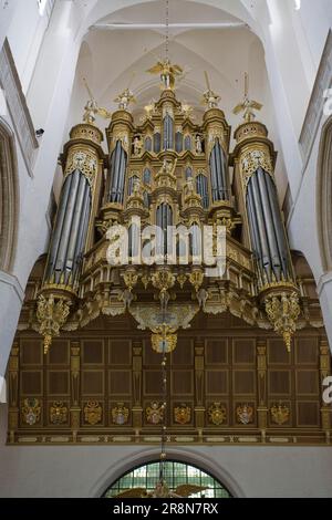 Organo Stellwagen, St. Chiesa di Maria, Stralsund, Meclemburgo-Pomerania occidentale, organo ecclesiastico, Germania Foto Stock