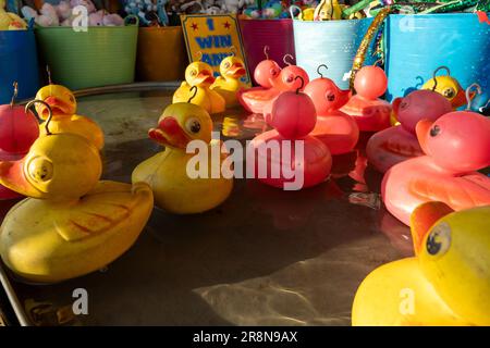 Anatre giocattolo galleggianti presso il banco dello spettacolo "Hook-a-Duck" presso il parco divertimenti. Foto Stock