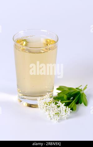 Bicchiere con sciroppo di legnosa (Asperula odorata) (Galium odoratum), fragrante cannuccia da letto Foto Stock