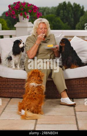 Donna con cane di razza mista e Cavalier re Charles Spaniel, tricolore e nero-e-abbronzatura, mangiare torta Foto Stock