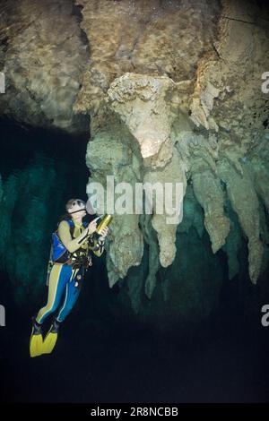 Subacquei nella grotta Chandelier, grotta subacquea di stalattiti, Palau, Micronesia Foto Stock
