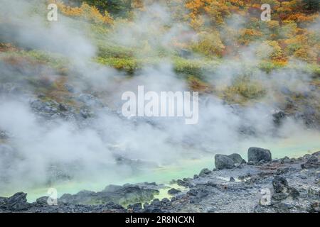 Tamagawa Onsen Foto Stock