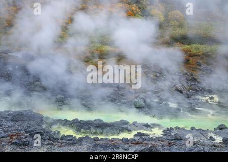 Tamagawa Onsen Foto Stock