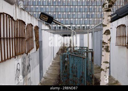 Memoriale alle vittime della violenza e della guerra, Parlamento degli alberi, quartiere del governo, Berlino, Germania Foto Stock