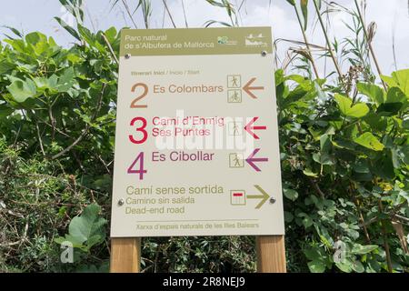 Vista della bacheca, riserva di S’Albufera, Maiorca, Isole Baleari, Spagna, 19 giugno 2023 Foto Stock