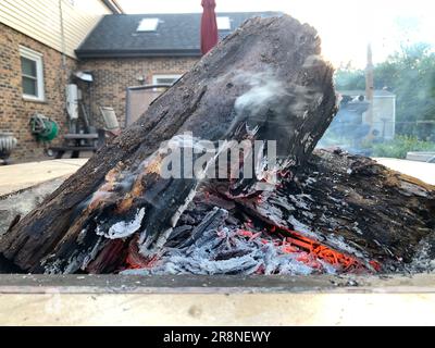 Tronchi di legno che bruciano in un caminetto Foto Stock