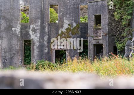 castello di buchanan in scozia Foto Stock