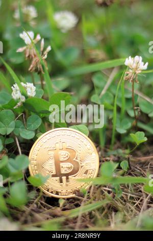 Bitcoin moneta in oro, mano tenere bitcoin nel parco e sfondo naturale Foto Stock