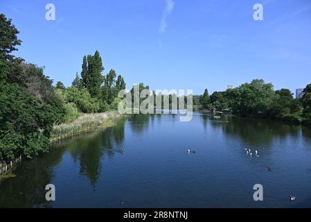 Il Serpentine (noto anche come Serpentine River) è un lago ricreativo di 40 acri (16 ettari) a Hyde Park, Londra, Inghilterra, creato nel 1730 per volere della regina Carolina. Anche se è comune riferirsi all'intero corpo d'acqua come Serpentine, strettamente il nome si riferisce solo alla metà orientale del lago. Serpentine Bridge, che segna il confine tra Hyde Park e Kensington Gardens, segna anche il confine occidentale del Serpentine; la lunga e stretta metà occidentale del lago è nota come Long Water. Il Serpentine prende il nome dalla sua forma a forma di serpente e curvilinea. Foto Stock