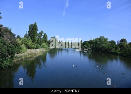 Il Serpentine (noto anche come Serpentine River) è un lago ricreativo di 40 acri (16 ettari) a Hyde Park, Londra, Inghilterra, creato nel 1730 per volere della regina Carolina. Anche se è comune riferirsi all'intero corpo d'acqua come Serpentine, strettamente il nome si riferisce solo alla metà orientale del lago. Serpentine Bridge, che segna il confine tra Hyde Park e Kensington Gardens, segna anche il confine occidentale del Serpentine; la lunga e stretta metà occidentale del lago è nota come Long Water. Il Serpentine prende il nome dalla sua forma a forma di serpente e curvilinea. Foto Stock