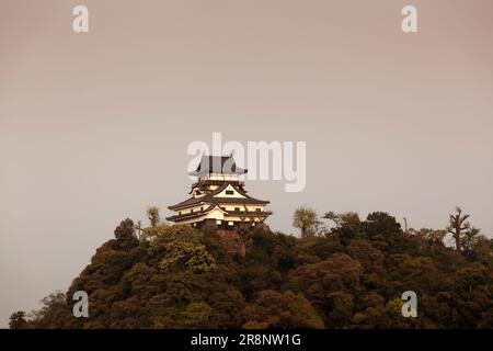 Il castello di Inuyama Foto Stock