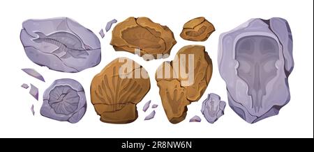 Set di cartoni animati di pietre fossili con impronte preistoriche di animali e piante. Illustrazione vettoriale di rocce antiche con impronte di dinosauri, pesci, conchiglie, stampe di cranio mammut. Mostre del museo archeologico Illustrazione Vettoriale