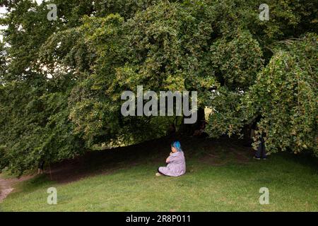 Avebury, Regno Unito. 20 giugno 2023. Una donna siede sotto l'albero dei desideri che si dice abbia ispirato gli "alberi che camminano" del JRR Tolkien in il Signore degli anelli. CR Foto Stock