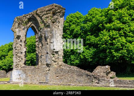 Neath Abbey, Galles del Sud, Regno Unito Foto Stock