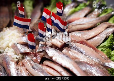 SCHEVENINGEN - aringa durante l'asta del primo barile di olandese nuovo, la prima cattura di aringa dell'anno. L'inizio della stagione delle aringhe è stato rinviato di più di una settimana perché l'Hollandse Nieuwe non era ancora abbastanza grassa. ANP RAMON VAN FLYMEN olanda fuori - belgio fuori Foto Stock