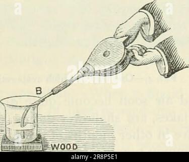 "Fisica elementare e chimica: Prima fase" (1899) Foto Stock