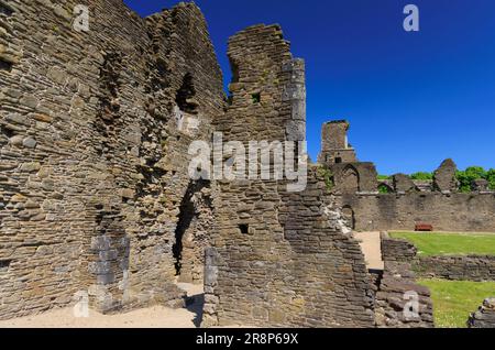 Neath Abbey, Galles del Sud, Regno Unito Foto Stock