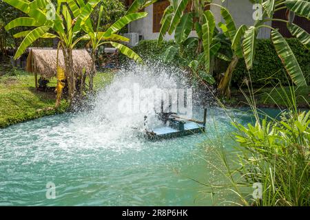 Rotopressa a turbina installata nel laghetto per aumentare l'ossigeno all'acqua in Thailandia. Foto Stock