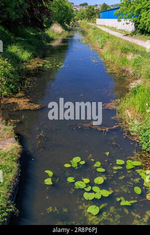 Tennant Canal vicino a Neath Abbey, Galles, Regno Unito Foto Stock