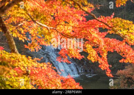 Cascate di Awamata nella gola di Yoro Foto Stock