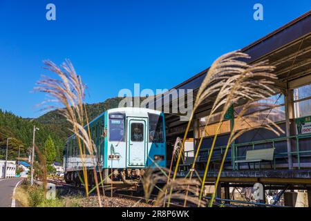 Treno regolare sulla linea del lago Kuzuryu Foto Stock