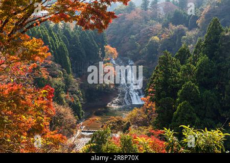 Cascate di Awamata nella gola di Yoro Foto Stock