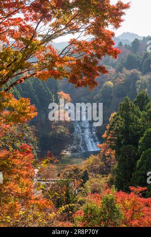 Cascate di Awamata nella gola di Yoro Foto Stock