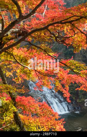 Cascate di Awamata nella gola di Yoro Foto Stock