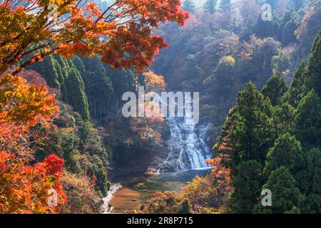 Cascate di Awamata nella gola di Yoro Foto Stock