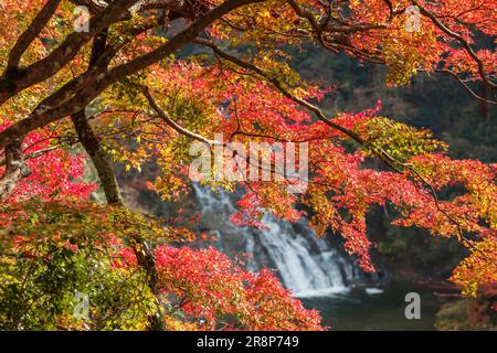 Cascate di Awamata nella gola di Yoro Foto Stock