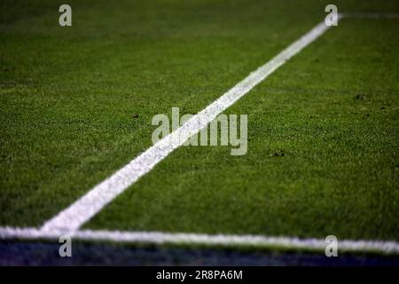 Linee sul campo verde dello stadio di calcio San Siro Foto Stock