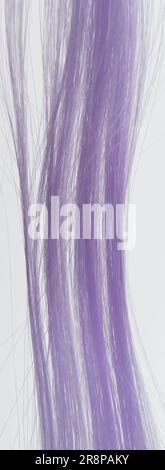 Linea di fili di capelli viola vista ravvicinata macro isolata Foto Stock