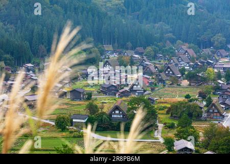 Shirakawa-go e Silver Grass Foto Stock