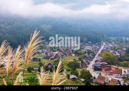 Shirakawa-go e Silver Grass Foto Stock