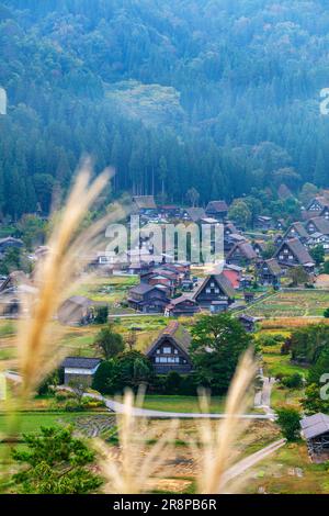 Shirakawa-go e Silver Grass Foto Stock