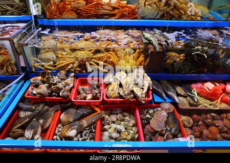 Mercato del pesce a Seul, Corea del Sud. Molluschi al mercato del pesce di Noryangjin. Granchi, cuccioli, vongole di geoanatra e ostriche. Foto Stock