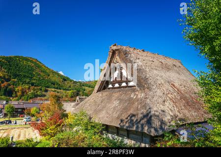 Shirakawa-go Foto Stock