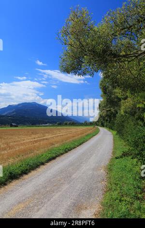 Percorso ciclabile a lunga distanza sul fiume Drava (Drauradweg) vicino alla città di Spittal an der Drau, nello stato austriaco della Carinzia. Pista ciclabile in estate. Foto Stock