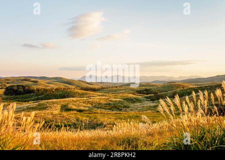 Akiyoshidai Foto Stock