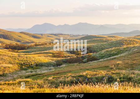 Akiyoshidai Foto Stock